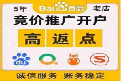 百度竞价排名实战：打造爆款关键词的案例